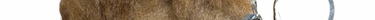 Medium Brown