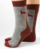 Gray and brown socks with red accents on a white background