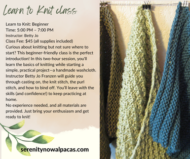Learn to knit Class