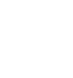 Logo of a llama with 'serenity now yarn & alpaca shop'